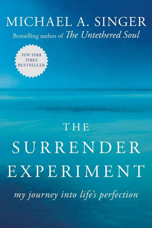 Produktbild: The Surrender Experiment