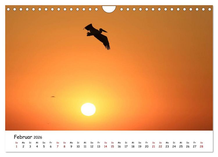 Produktbild: Eine Reise ins magische Donaudelta (Wandkalender 2026 DIN A4 quer), CALVENDO Monatskalender