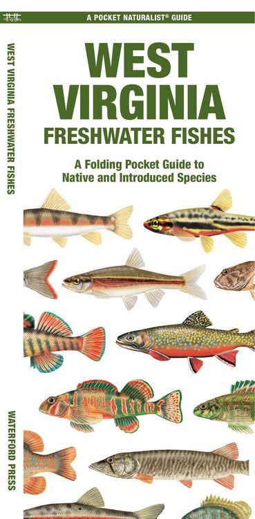 Produktbild: West Virginia Freshwater Fishes