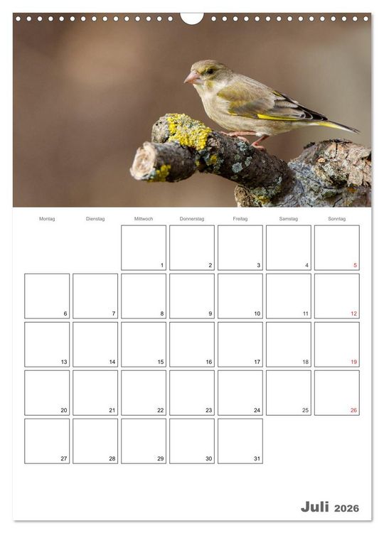 Produktbild: V&ouml;gel im heimischen Garten (Wandkalender 2026 DIN A3 hoch), CALVENDO Monatskalender
