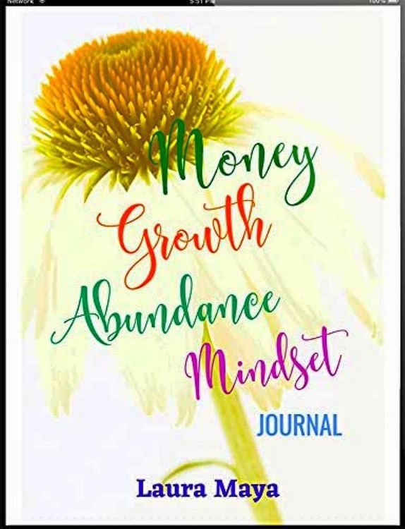 Produktbild: Money Growth Abundance Mindset Journal