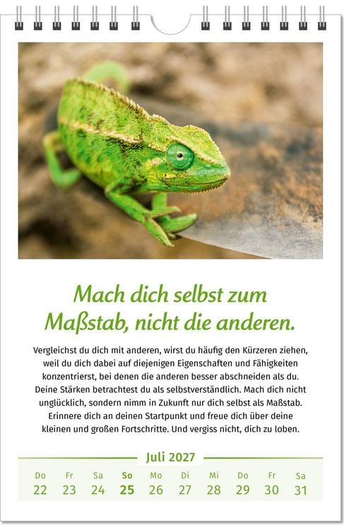 Produktbild: Der Lebensfreude-Kalender 2027