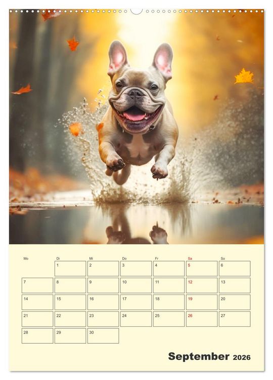 Produktbild: Lustige Flederm&auml;use. Franz&ouml;sische Bulldoggen bei der Freizeitgestaltung (Wandkalender 2026 DIN A2 hoch), CALVENDO Monatskalender