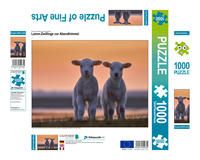 Produktbild: CALVENDO Puzzle Lamm-Zwillinge vor Abendhimmel | 1000 Teile Lege-Gr&ouml;&szlig;e 64x48cm Foto-Puzzle f&uuml;r gl&uuml;ckliche Stunden