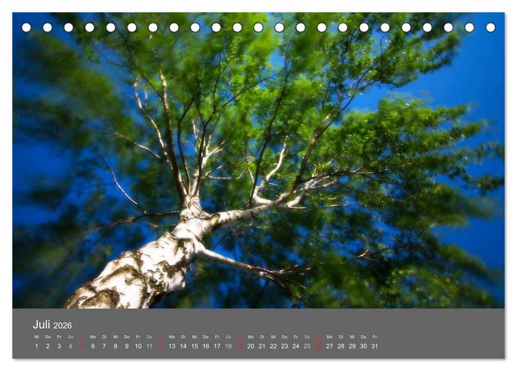 Produktbild: B&auml;ume (Tischkalender 2026 DIN A5 quer), CALVENDO Monatskalender