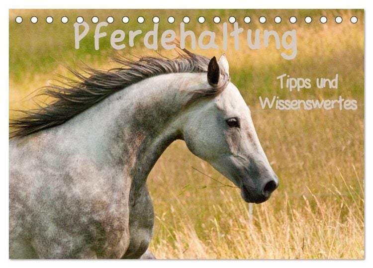 Produktbild: Pferdehaltung Tipps und Wissenswertes (Tischkalender 2027 DIN A5 quer), CALVENDO Monatskalender