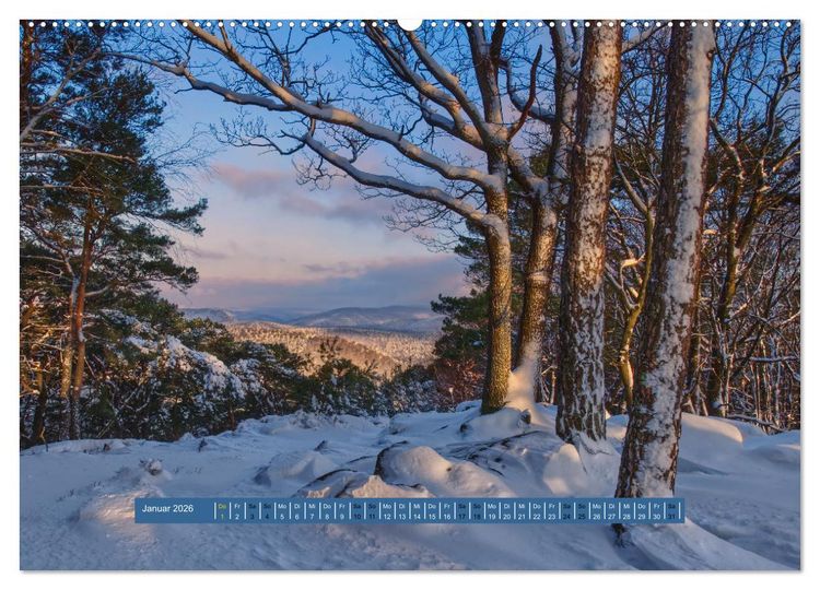 Produktbild: Magischer Pf&auml;lzer Wald (Wandkalender 2026 DIN A2 quer), CALVENDO Monatskalender