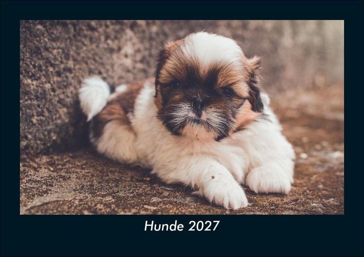 Produktbild: Hunde 2027 Fotokalender DIN A5