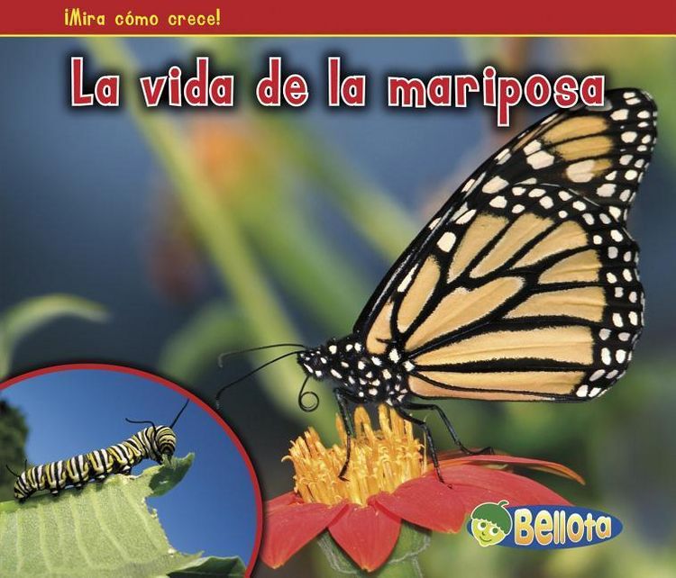 Produktbild: La Vida de la Mariposa (the Life of a Butterfly)