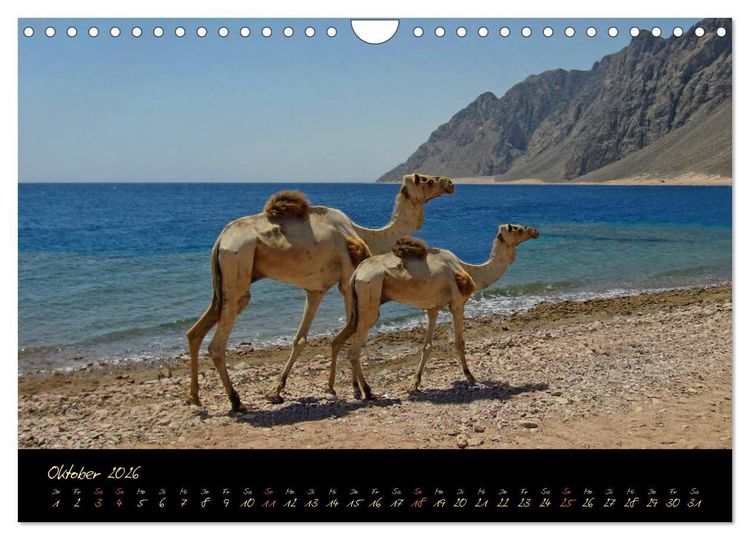 Produktbild: &Auml;gypten - Eine Entdeckungsreise (Wandkalender 2026 DIN A4 quer), CALVENDO Monatskalender