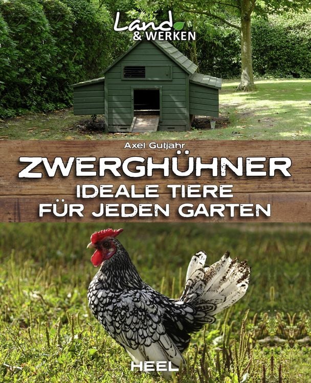 Bild vom Artikel Zwerghühner vom Autor Axel Gutjahr