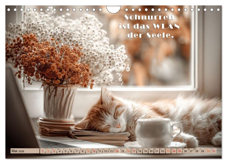 Produktbild: Miau-velous Pfotenpoesie (Wandkalender 2026 DIN A4 quer), CALVENDO Monatskalender