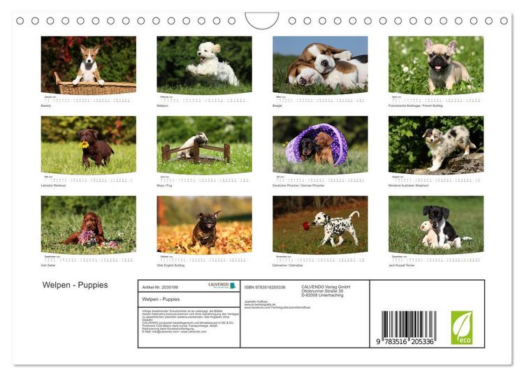 Produktbild: Welpen - Puppies (Wandkalender 2026 DIN A4 quer), CALVENDO Monatskalender
