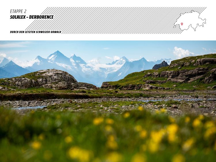 Produktbild: Trekking in den Schweizer Alpen