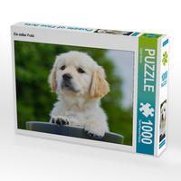 Produktbild: CALVENDO Puzzle Ein s&uuml;&szlig;er Fratz 1000 Teile Lege-Gr&ouml;&szlig;e 64 x 48 cm Foto-Puzzle Bild von Sigrid Starick