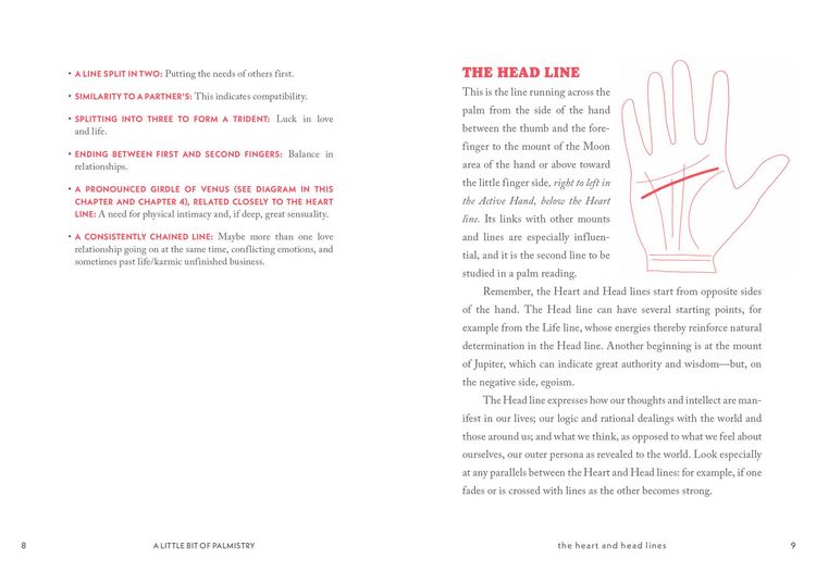 Produktbild: A Little Bit of Palmistry