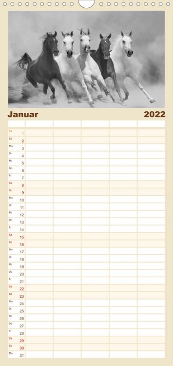 Produktbild: Familienplaner Arabische Pferde (Wandkalender 2022 , 21 cm x 45 cm, hoch)