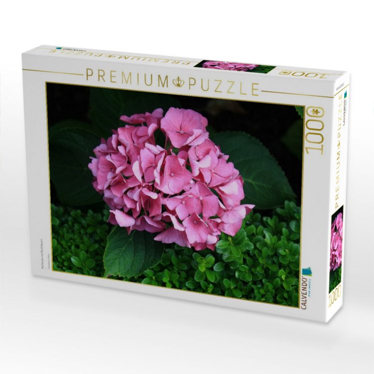 Produktbild: CALVENDO Puzzle Hortensie mit Buchsbaum | 1000 Teile Lege-Gr&ouml;&szlig;e 64x48cm Foto-Puzzle f&uuml;r gl&uuml;ckliche Stunden