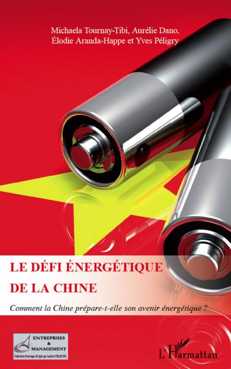 Produktbild: Le defi energetique de la Chine