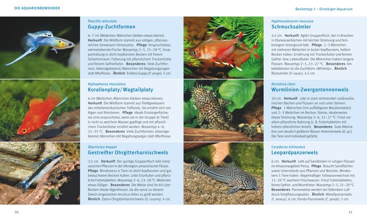 Produktbild: Kleine Aquarien