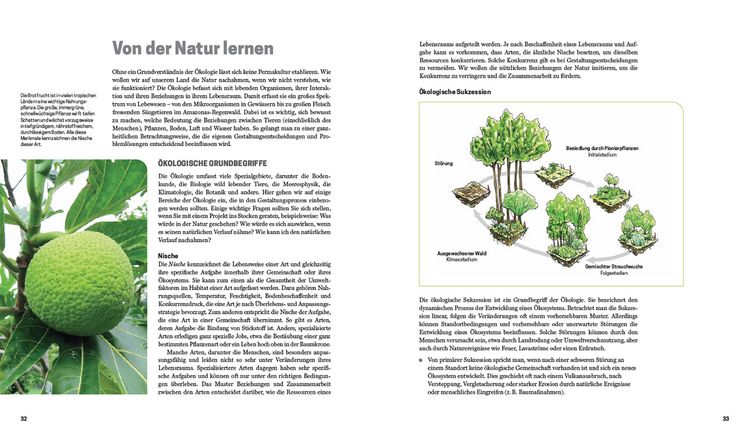 Produktbild: Praxisbuch Permakultur
