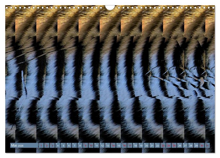 Produktbild: Magische Bilder - fantastische Stereogramme (Wandkalender 2026 DIN A3 quer), CALVENDO Monatskalender
