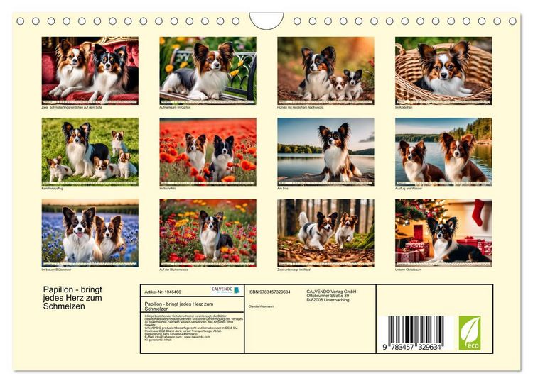 Produktbild: Papillon - bringt jedes Herz zum Schmelzen (Wandkalender 2026 DIN A4 quer), CALVENDO Monatskalender