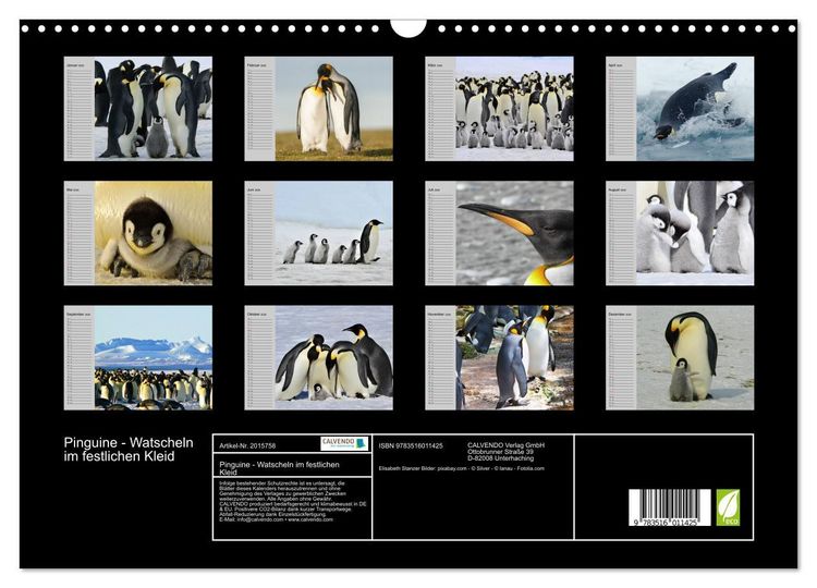 Produktbild: Pinguine - Watscheln im festlichen Kleid (Wandkalender 2026 DIN A3 quer), CALVENDO Monatskalender