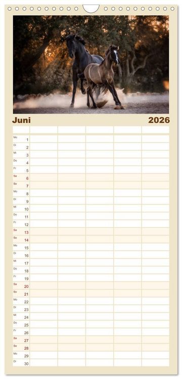 Produktbild: Familienplaner 2026 - Spiegel deiner Seele mit 5 Spalten (Wandkalender, 21 x 45 cm) CALVENDO