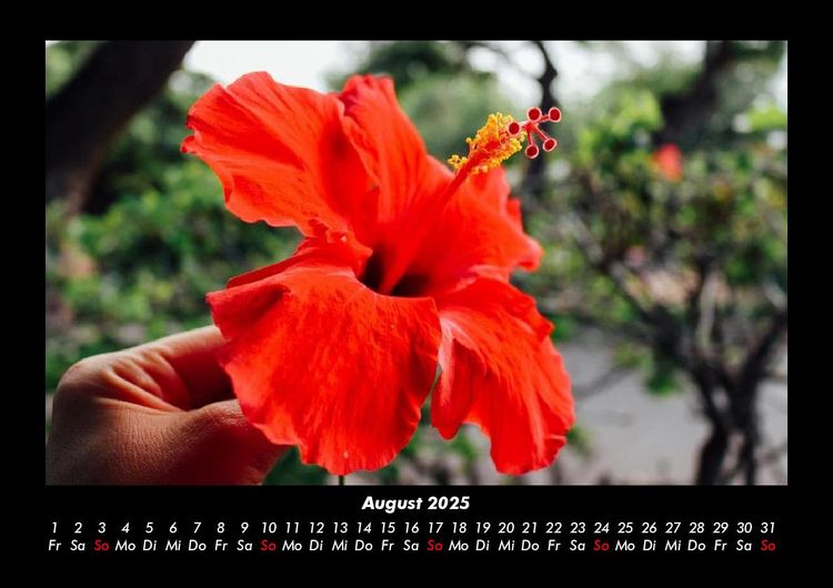Produktbild: Blumenzauber 2025 Fotokalender DIN A3