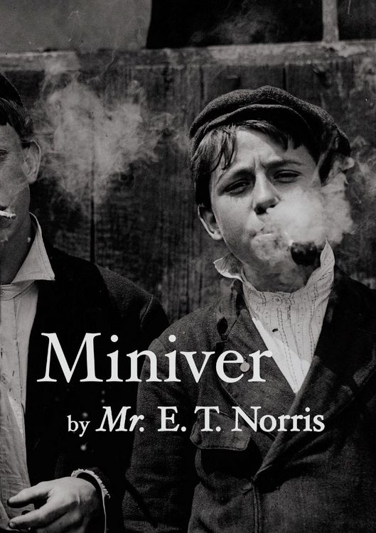 Produktbild: Miniver