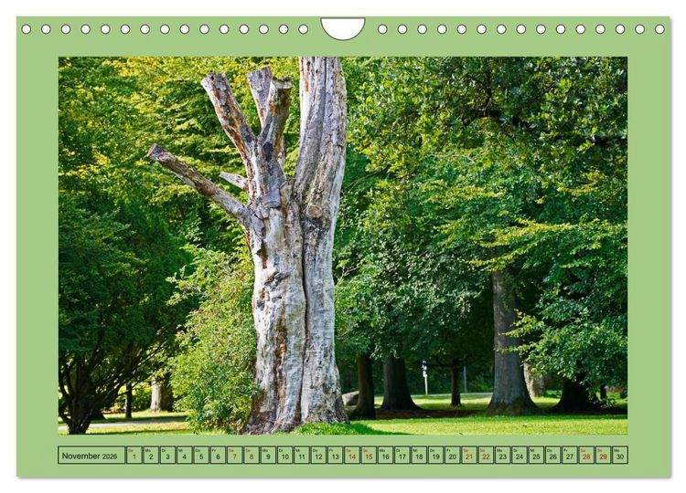 Produktbild: Faszination Stadtpark Odense (Wandkalender 2026 DIN A4 quer), CALVENDO Monatskalender