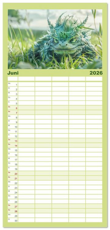 Produktbild: Familienplaner 2026 - Drachen - Verspielt und fluffig mit 5 Spalten (Wandkalender, 21 x 45 cm) CALVENDO