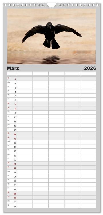 Produktbild: Familienplaner 2026 - Rabenschwarze Impressionen - meike-ajo-dettlaff.de via wildvogelhlfe.org mit 5 Spalten (Wandkalender, 21 x 45 cm) CALVENDO