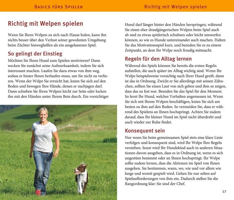 Produktbild: Welpen-Spiele-Box