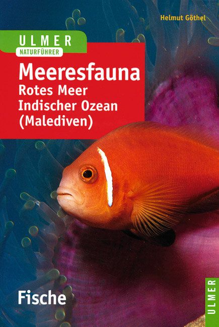 Produktbild: Ulmer Naturf&uuml;hrer Meeresfauna
