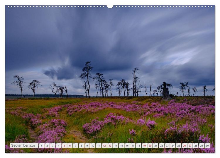 Produktbild: Traumlandschaft Hohes Venn (hochwertiger Premium Wandkalender 2026 DIN A2 quer), Kunstdruck in Hochglanz