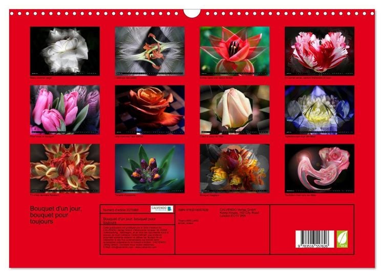 Produktbild: Bouquet d'un jour, bouquet pour toujours (Calendrier mural 2026 DIN A3 vertical), CALVENDO calendrier mensuel