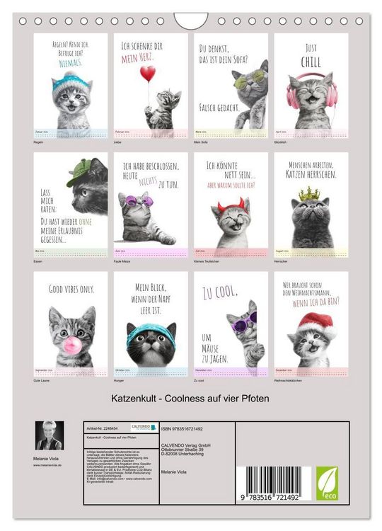 Produktbild: Katzenkult - Coolness auf vier Pfoten (Wandkalender 2026 DIN A4 hoch), CALVENDO Monatskalender