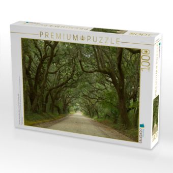 Produktbild: CALVENDO Puzzle Oak Alley, Botany Bay, Ediston Island, South Carolina, USA | 1000 Teile Lege-Gr&ouml;&szlig;e 64x48cm Foto-Puzzle f&uuml;r gl&uuml;ckliche Stunden