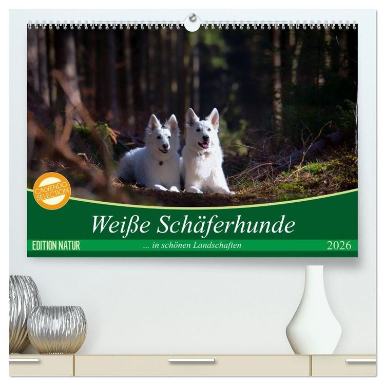 Produktbild: Wei&szlig;e Sch&auml;ferhunde in sch&ouml;nen Landschaften (hochwertiger Premium Wandkalender 2026 DIN A2 quer), Kunstdruck in Hochglanz