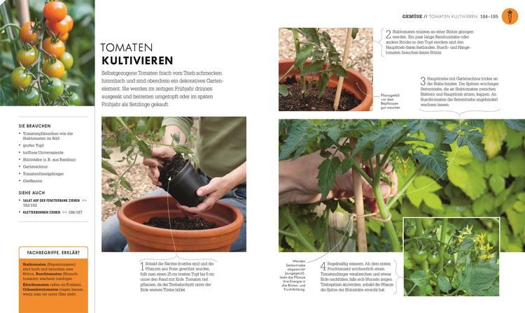 Produktbild: So geht Garten
