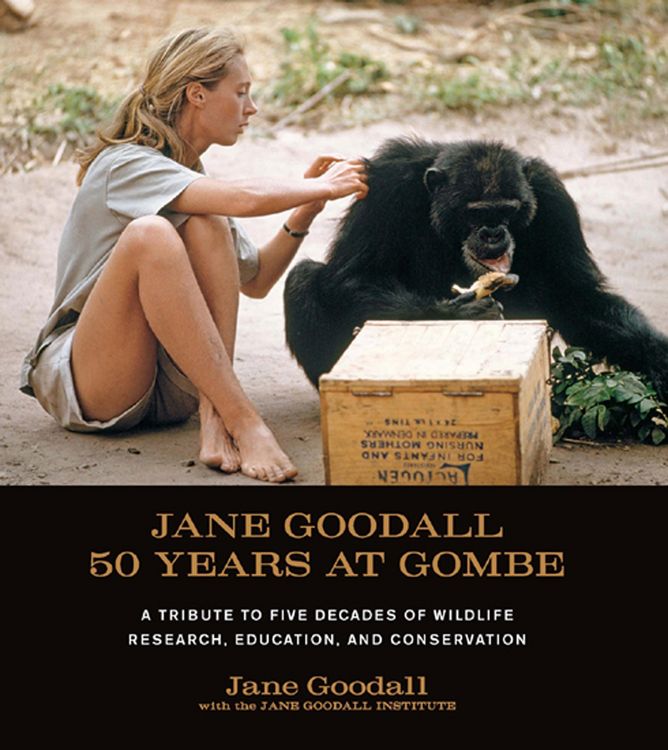 Produktbild: Jane Goodall: 50 Years at Gombe