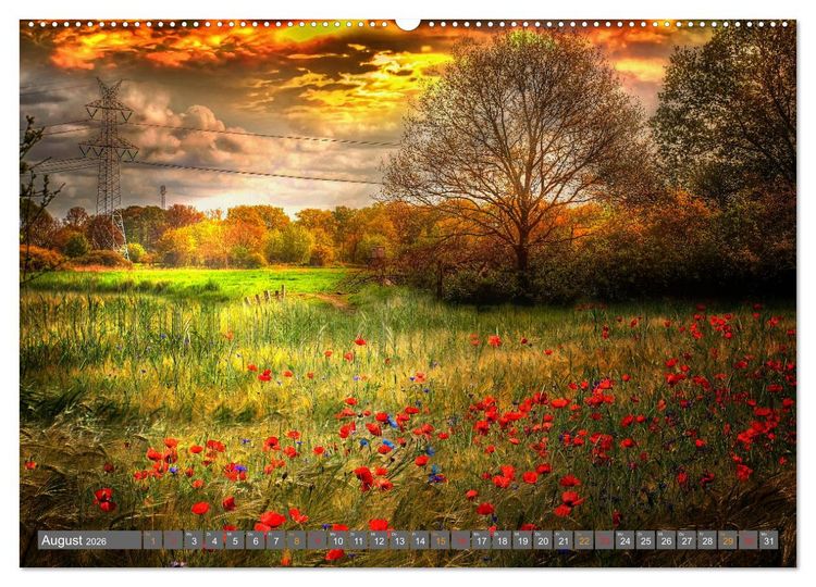 Produktbild: Friesland, verzauberte Landschaft an der Nordsee (Wandkalender 2026 DIN A2 quer), CALVENDO Monatskalender