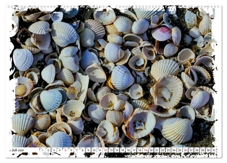 Produktbild: Zingst Sehnsucht nach Meer (Wandkalender 2026 DIN A2 quer), CALVENDO Monatskalender