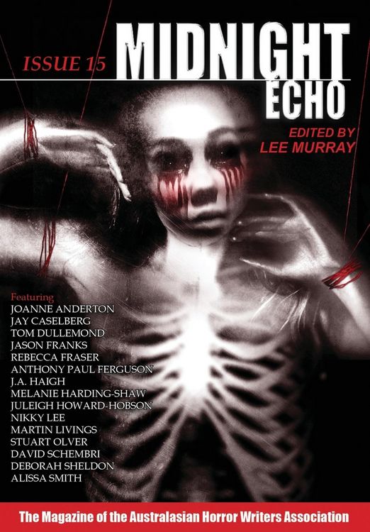 Produktbild: Midnight Echo Issue 15