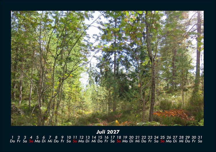 Produktbild: B&auml;ume 2027 Fotokalender DIN A4