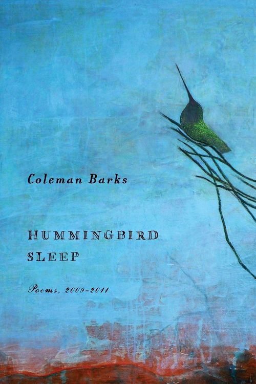 Produktbild: Hummingbird Sleep