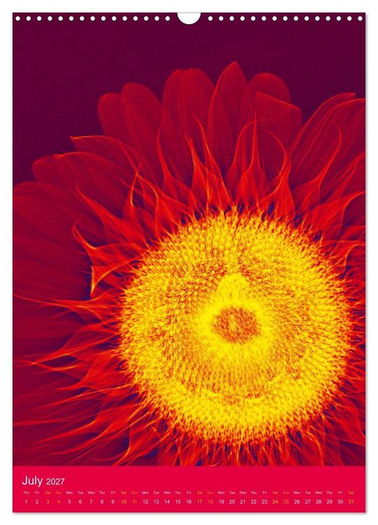 Produktbild: Blossoms between light and colour (Wall Calendar 2027 DIN A3 portrait), CALVENDO 12 Month Wall Calendar