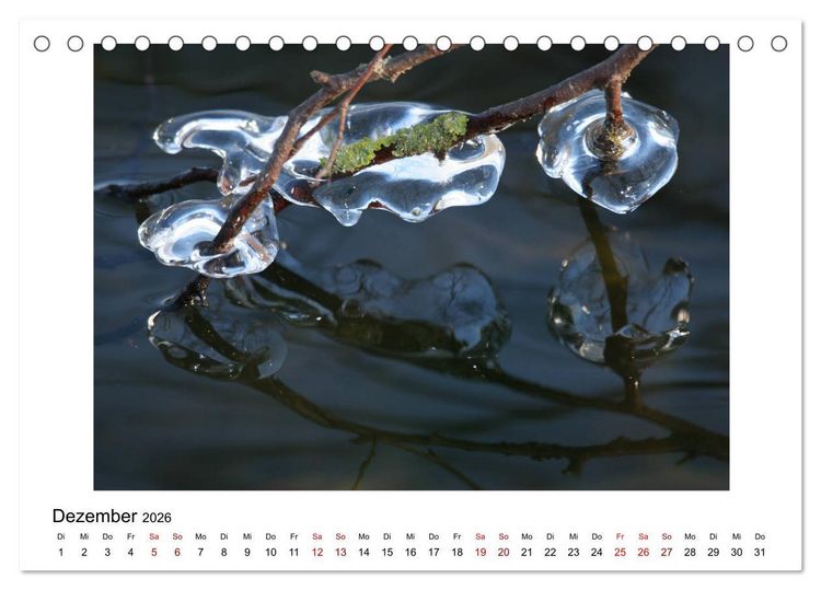 Produktbild: Nymphenburger Park (Tischkalender 2026 DIN A5 quer), CALVENDO Monatskalender